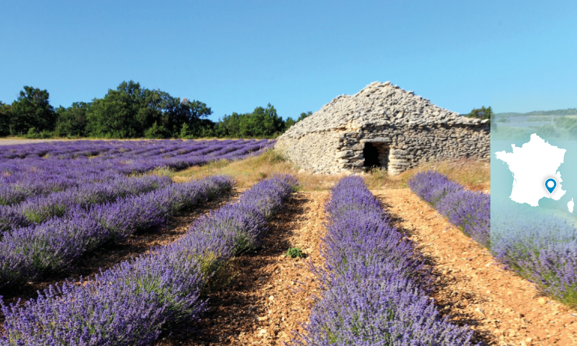 Camping « Le Mas de Nicolas » • Saint Rémy de Provence (Bouches-du-Rhône) • Mobil-home Prestige Alpilles 2 chambres (25m²)