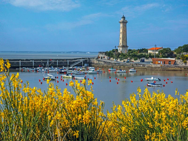 Camping Le Dauphin • Saint Georges de Didonne • Charente-Maritime • Mobil-home Classique 2 chambres 5 personnes